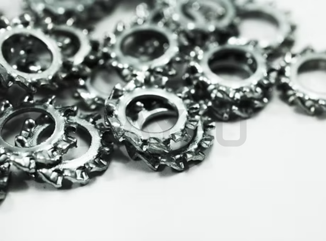External-Tooth-Lock-Washers_2