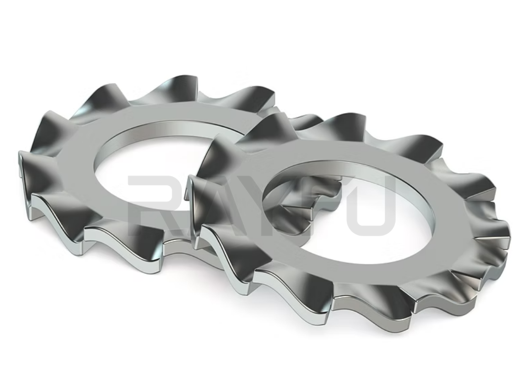 External-Tooth-Lock-Washers