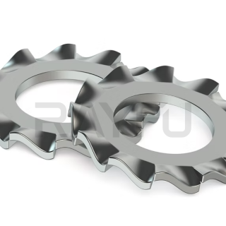 External-Tooth-Lock-Washers